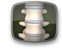 spine-button